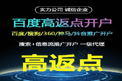 不同预算下的百度推广：案例分析与费用解析